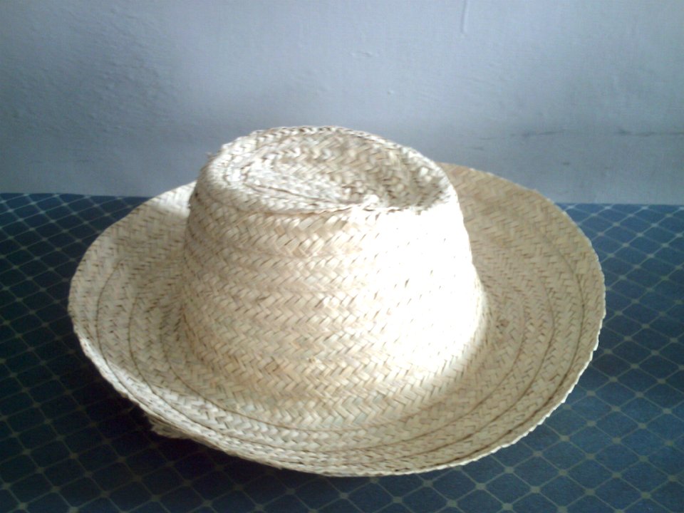 Sombrero de cogollo1