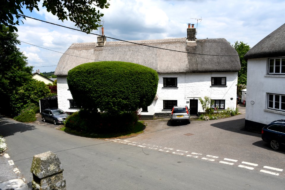 South Tawton (2021-06-30) 27