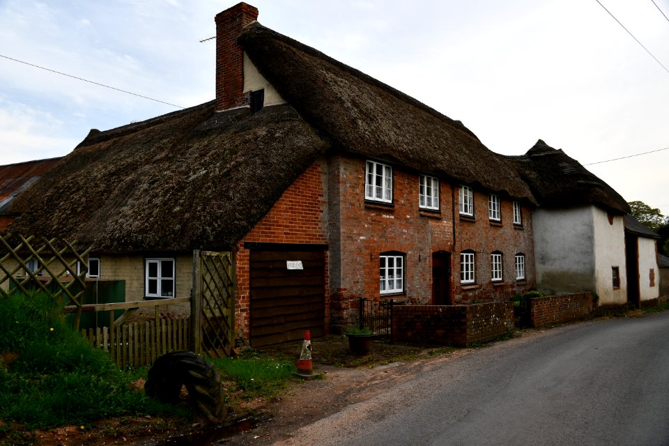 Sowton 2020-04-19 (14)