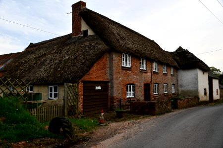 Sowton 2020-04-19 (14)