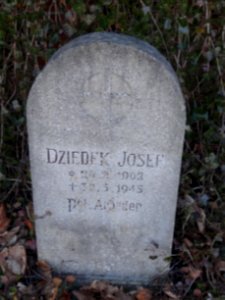 Sowjetische Kriegsgräberstätte in Arnstadt 92