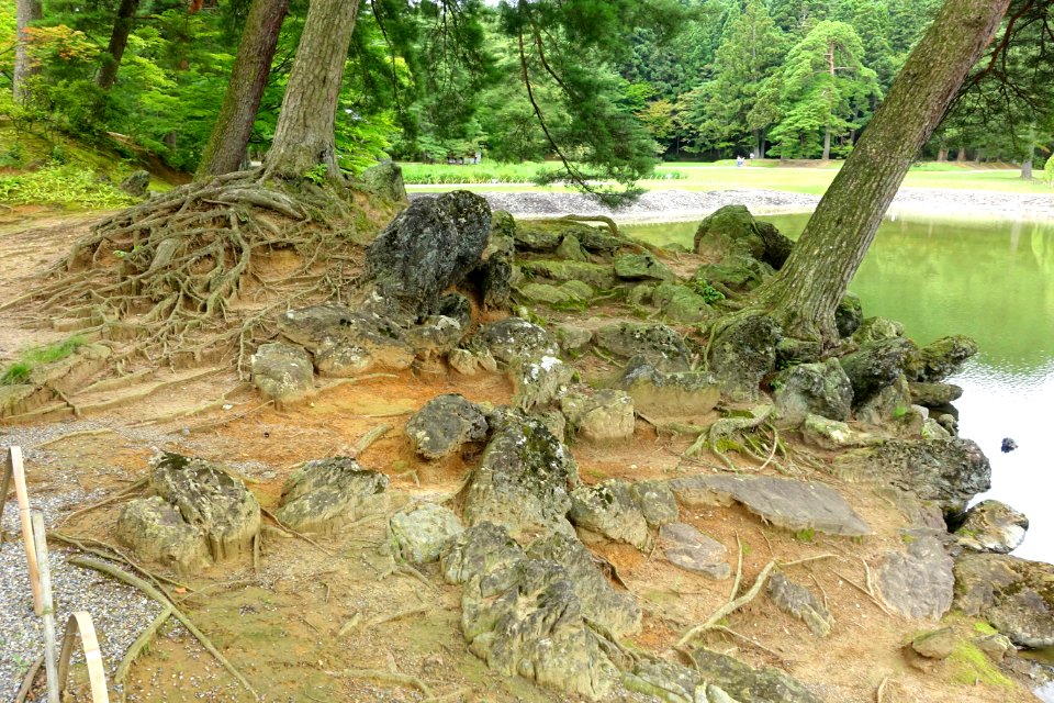 Tsukiyama (mountain-like formations) - Oizumi ga Ike Pond - Motsuji, Hiraizumi, Iwate - DSC04401