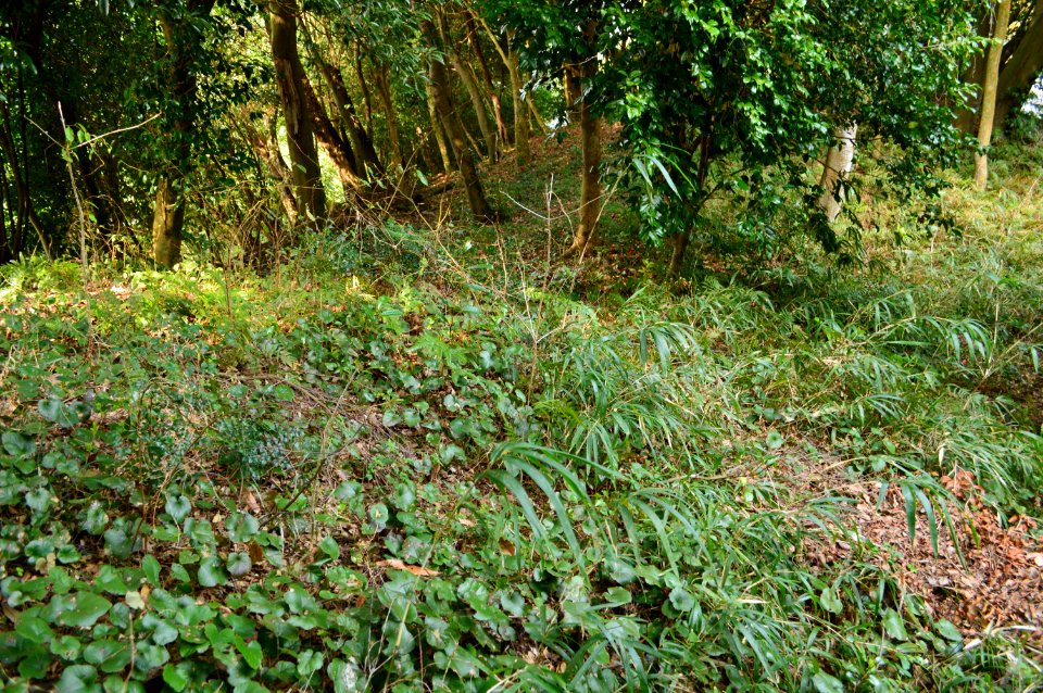 Tsukazaki Kofun Group-21, funkyu