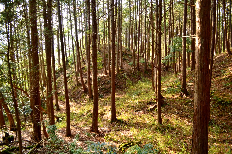 Tsukayama Kofun (Yabu), funkyu-2