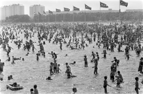 Tropische warmte. Een mierenhoop van mensen in het Sloterplas, Bestanddeelnr 921-4773