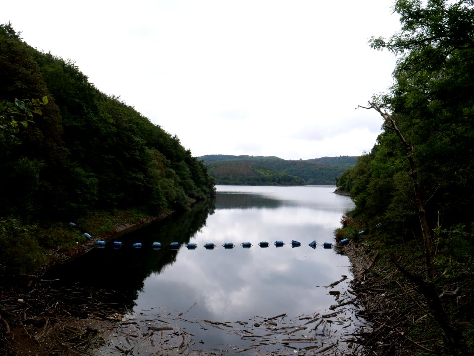 Urftsee in September 2019 19