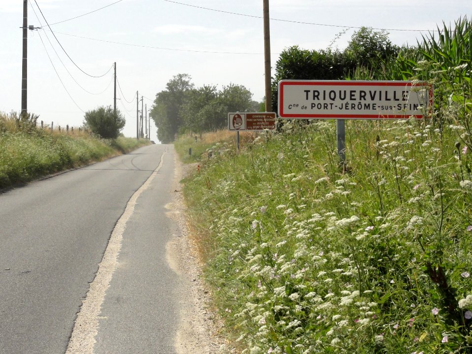 Triquerville (Seine-Mar.) entrée