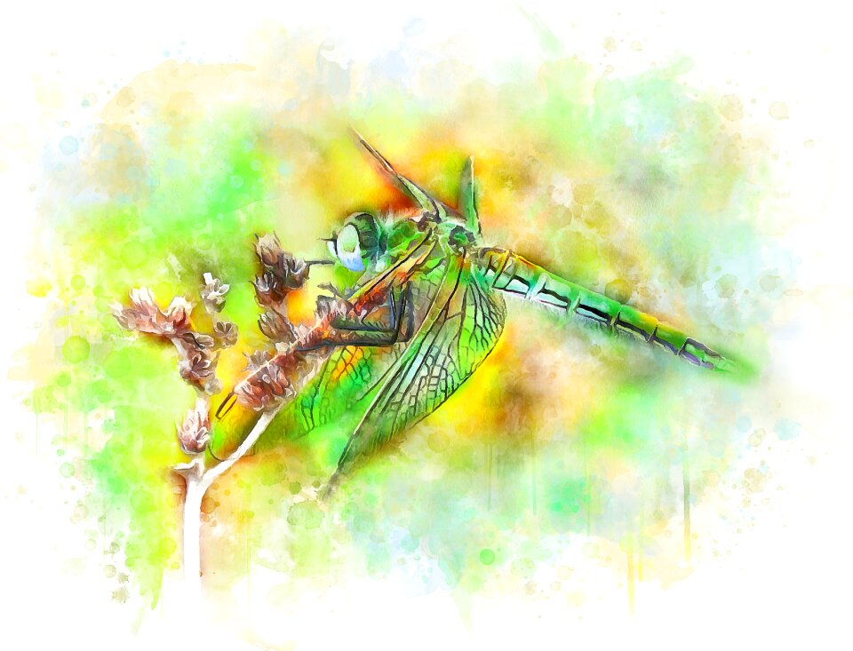 Watercolor illustration bright