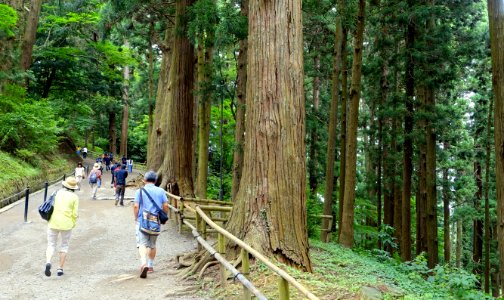 Tsukimizaka Slope - Chusonji, Hiraizumi, Iwate - DSC04692