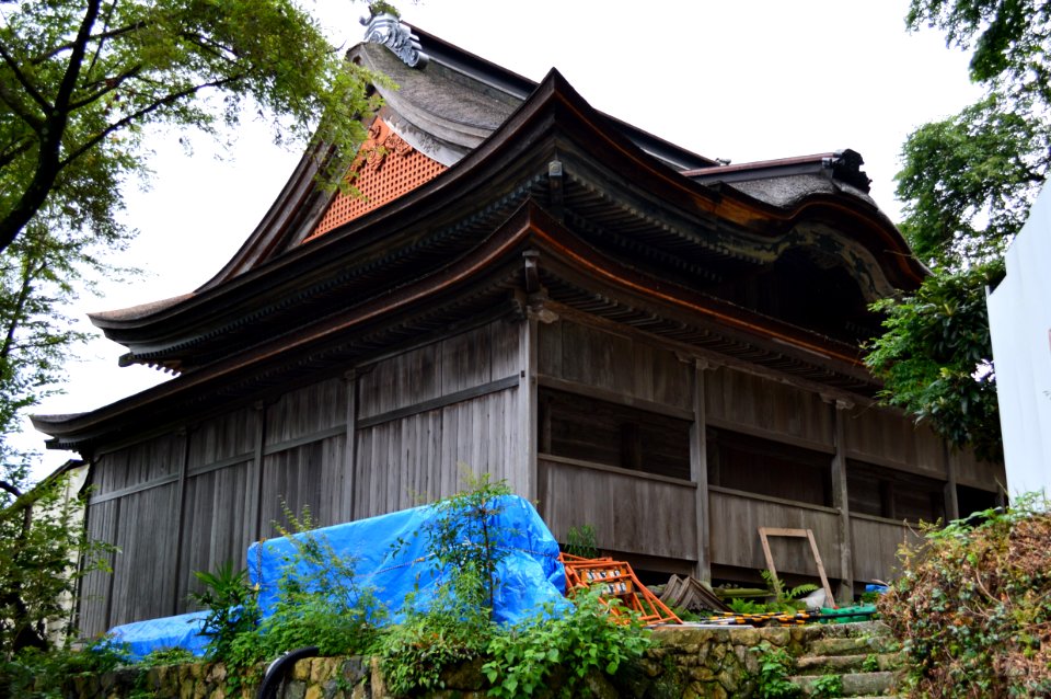 Tsukubusuma-jinja honden (back)
