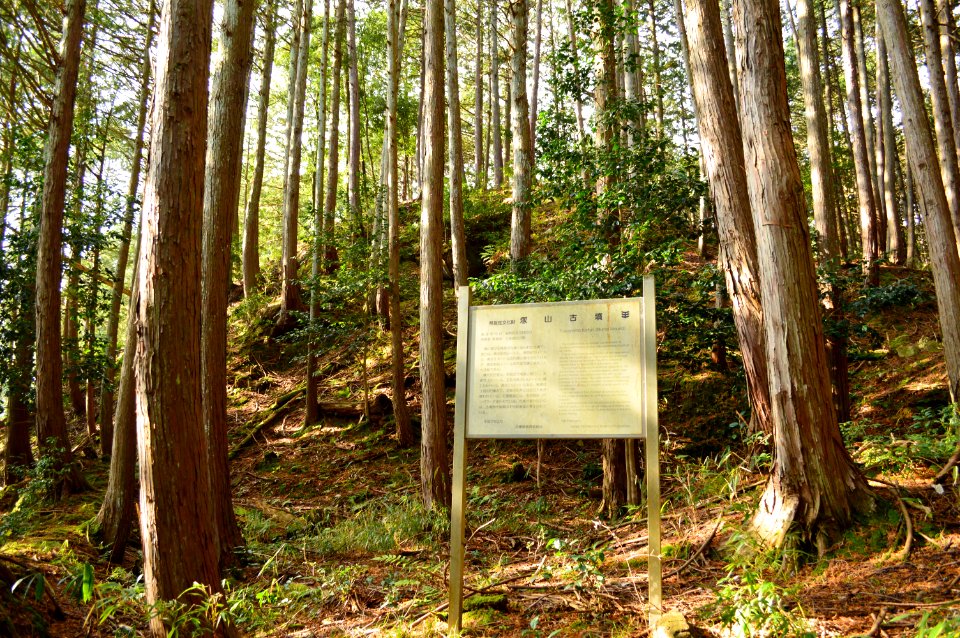 Tsukayama Kofun (Yabu), funkyu-1