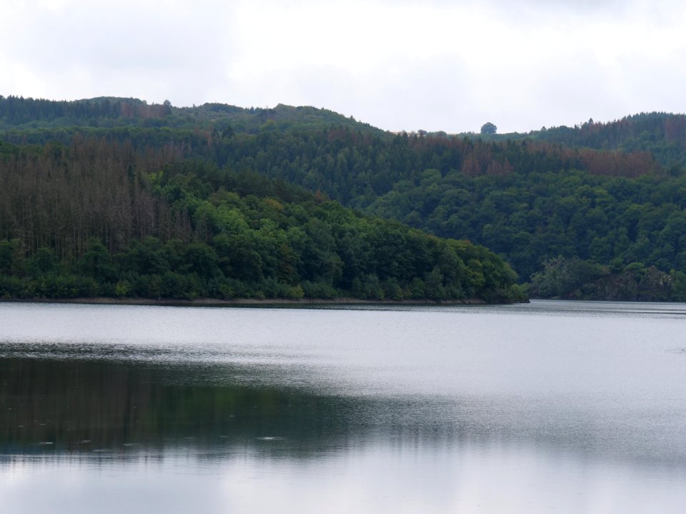 Urftsee in September 2019 21