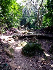 Trilha da Costa da Lagoa