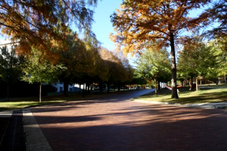 University of Arkansas Campus 01