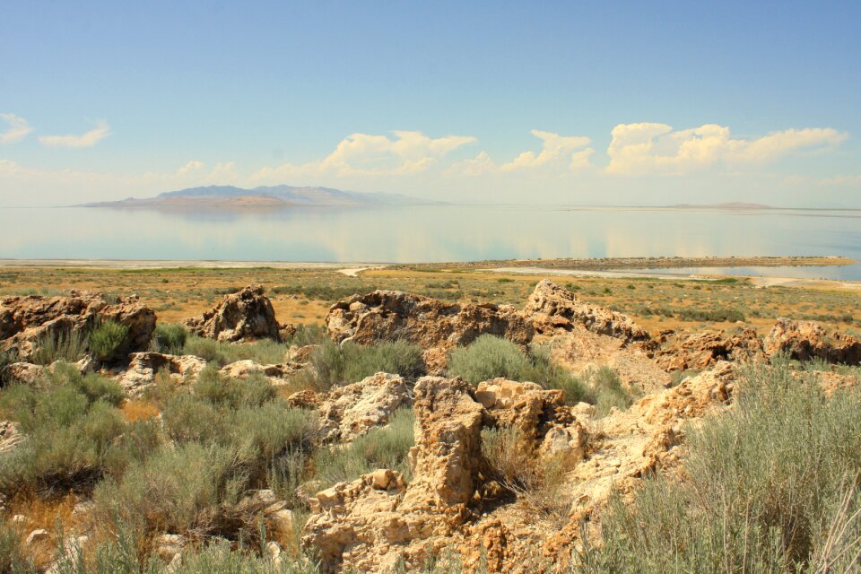 Antelope salt island