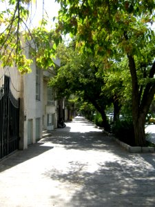 Tree - houses - sidewalk - Nishapur 13