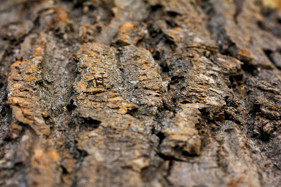 Pattern texture abstract