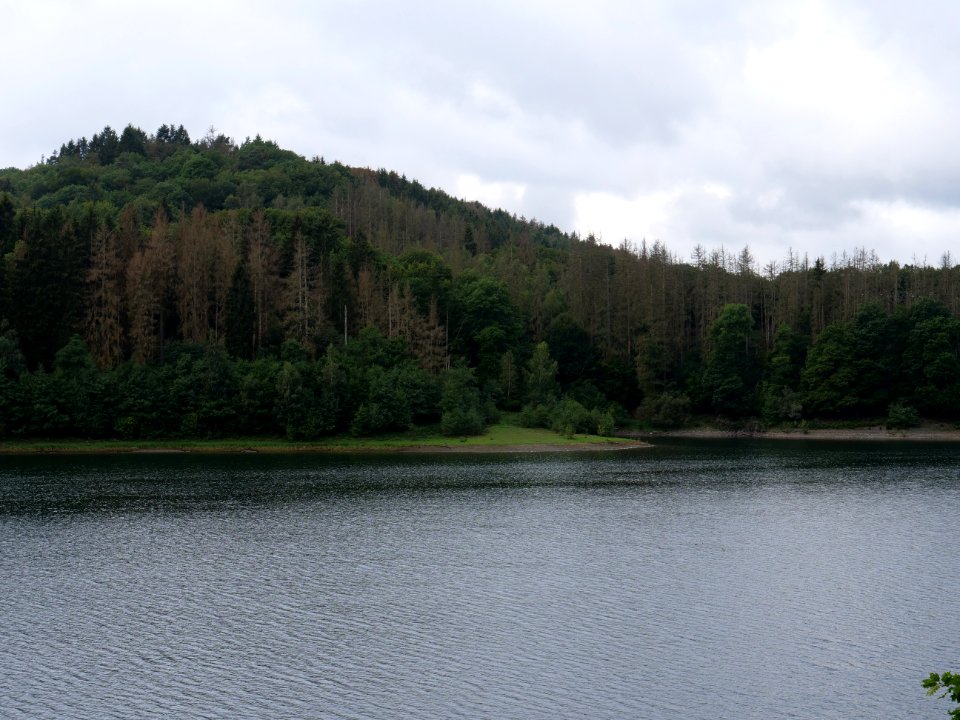 Urftsee in September 2019 26