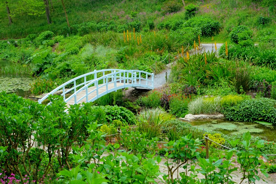 Trebah Garden - Cornwall, England - DSC01552