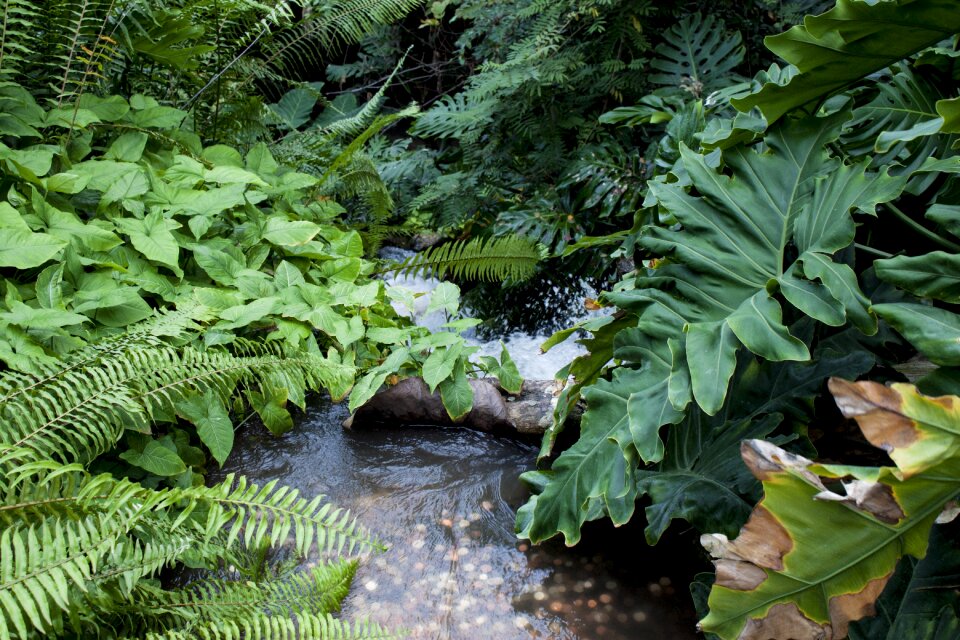 Nature landscape tropical
