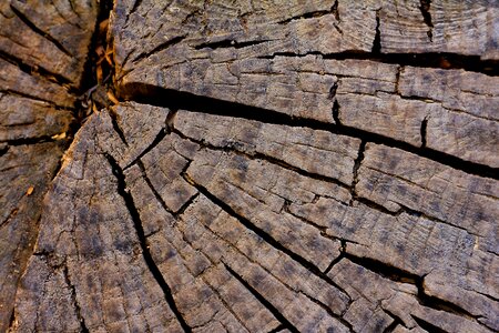 Textile bark texture photo