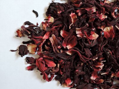 Hibiscus herbal tea Free photos photo
