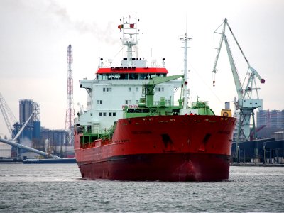 Trans Catalonia (ship, 2000), IMO 9176694, Port of Antwerp pic7