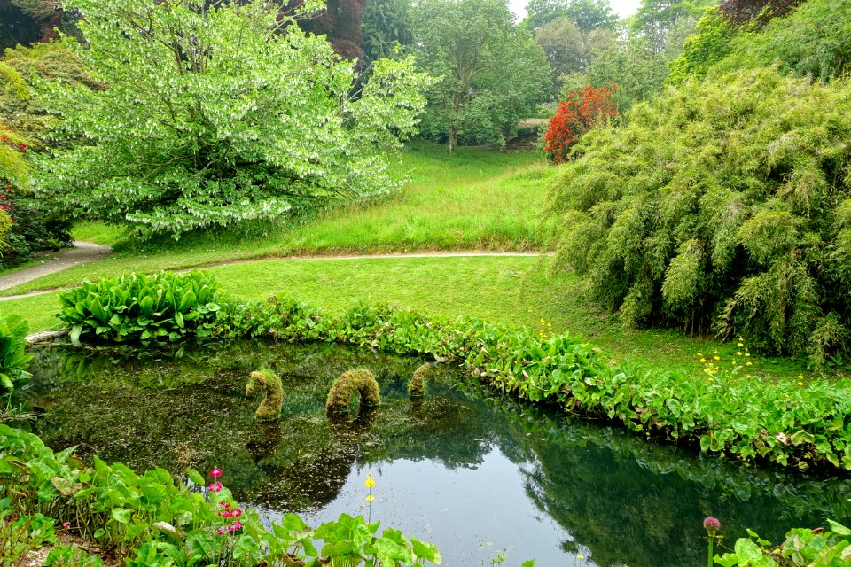 Trebah Garden - Cornwall, England - DSC01492