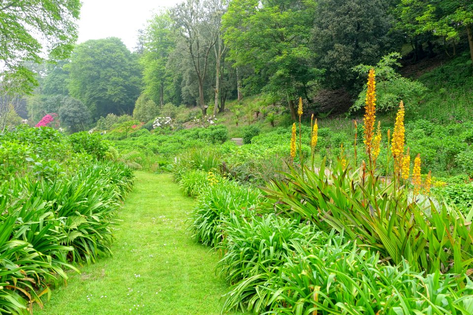 Trebah Garden - Cornwall, England - DSC01579