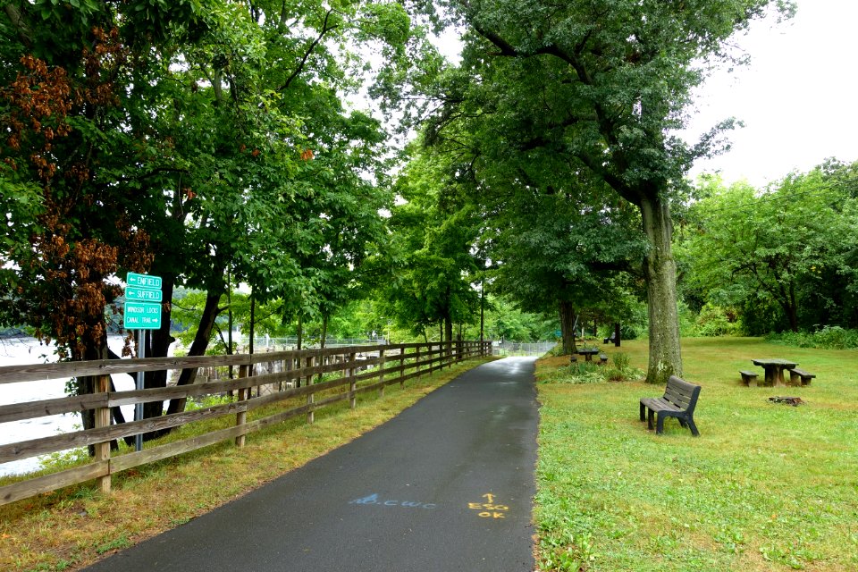 Trail - Windsor Locks Canal State Park Trail - Suffield, Connecticut - DSC04316