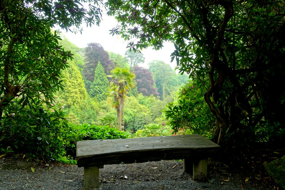 Trebah Garden - Cornwall, England - DSC01703