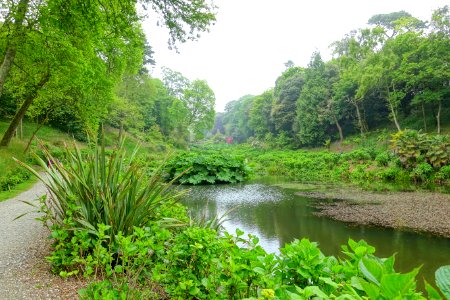 Trebah Garden - Cornwall, England - DSC01571