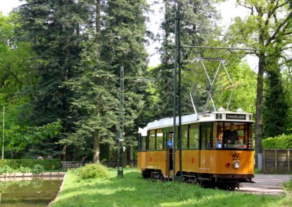 Tramlijn Openluchtmuseum 520 3