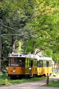 Tramlijn Openluchtmuseum 520 2 photo