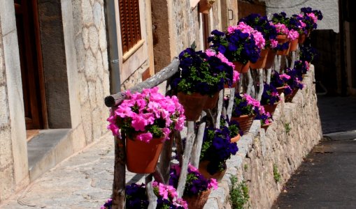 VALLDEMOSSA-MAJORKA, AB-373