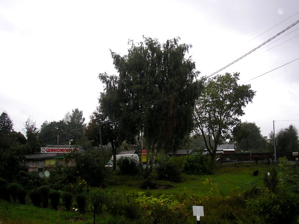 Trusovo 2