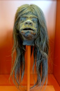 Tsantsa counterfeit made from monkey head, Jivaro - Redpath Museum - McGill University - Montreal, Canada - DSC08214
