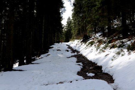 Trail from Ochsenstall Hornisgrinde to Kleine Grinde 2020-03-14 05
