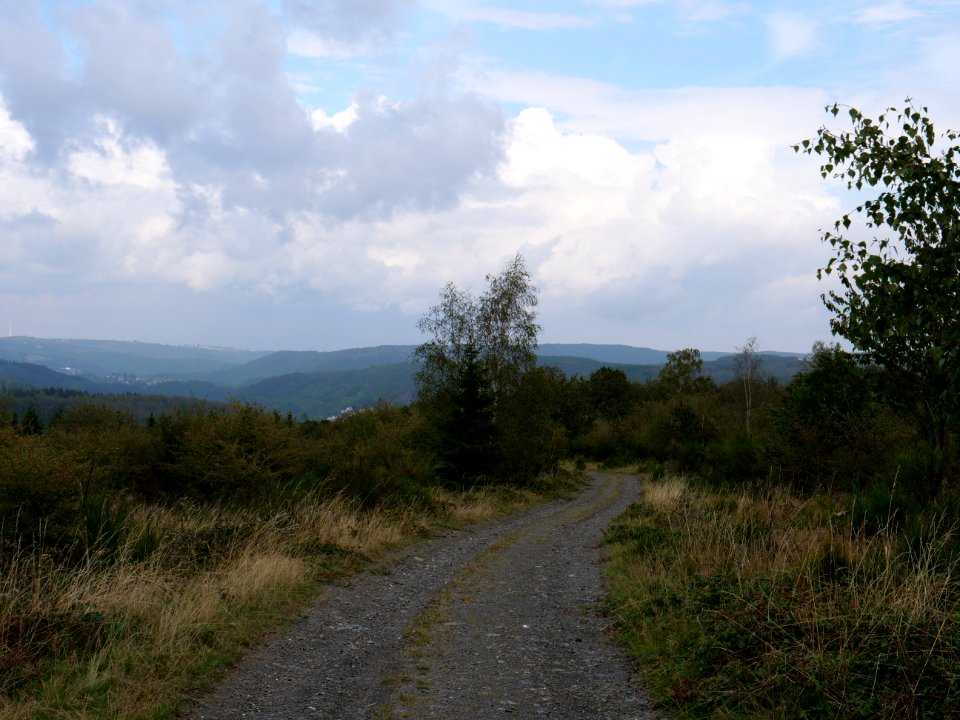 Trail from Gierberg to Müsauelsberg in September 2019 02