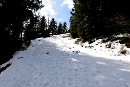 Trail from Ochsenstall Hornisgrinde to Kleine Grinde 2020-03-14 10