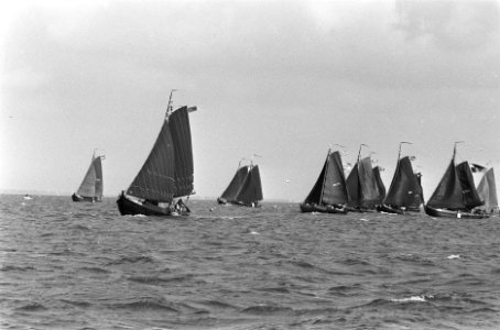 Traditionele Westwalbotterwedstrijden in IJsselmeer voor Volendam en Edam, Bestanddeelnr 933-7306
