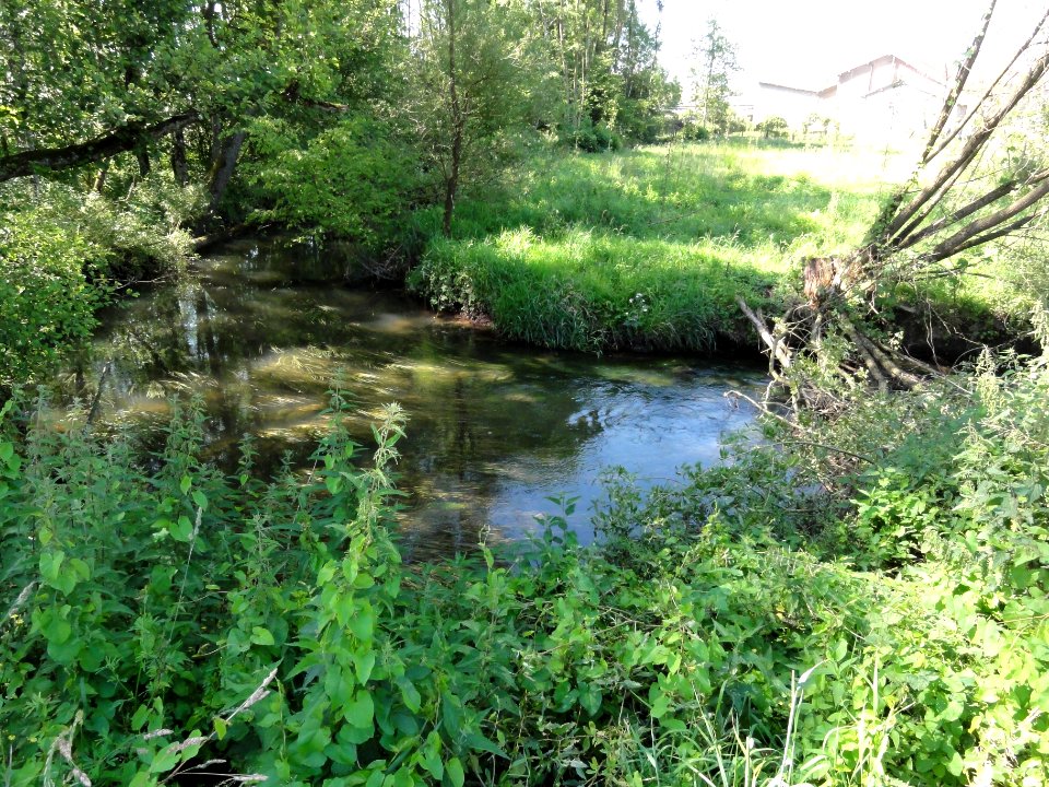 Vaxainville (M-et-M) la Verdurette (02)