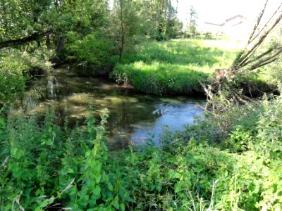 Vaxainville (M-et-M) la Verdurette (02)
