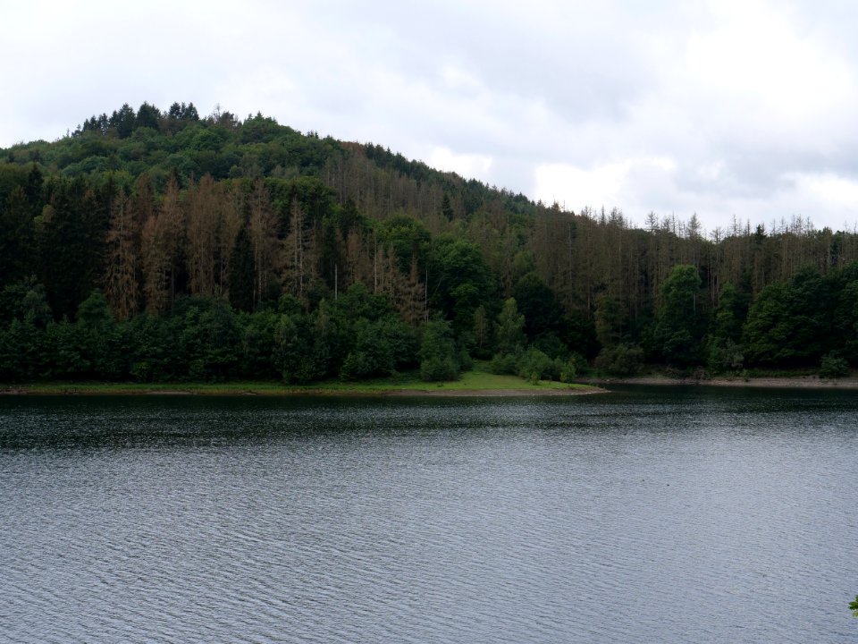 Urftsee in September 2019 28