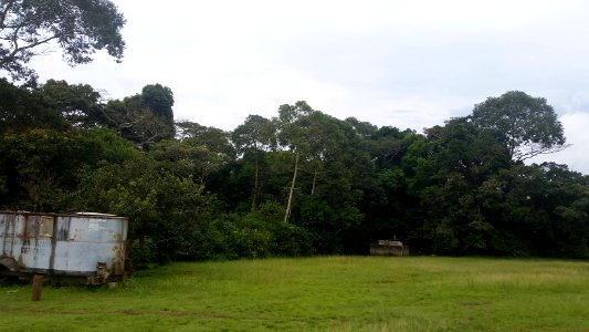 Uganda Virus Research Institute visit on 2 March 2018 - the forest 37