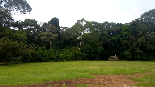 Uganda Virus Research Institute visit on 2 March 2018 - the forest 40