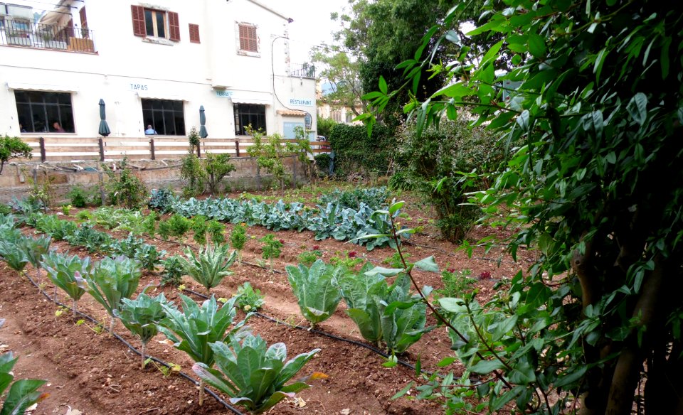 VALLDEMOSSA-MAJORKA, AB-272