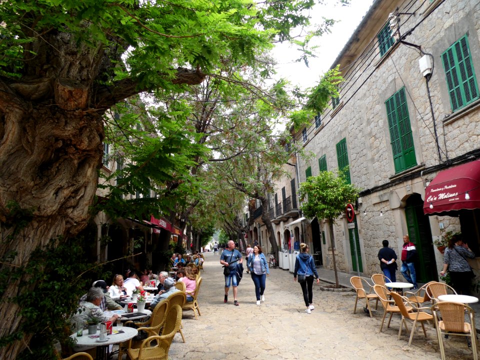 VALLDEMOSSA-MAJORKA, AB-299