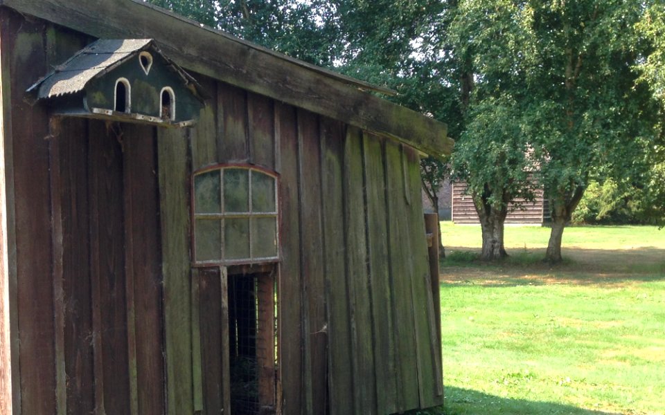 Veenpark vogelhuisje