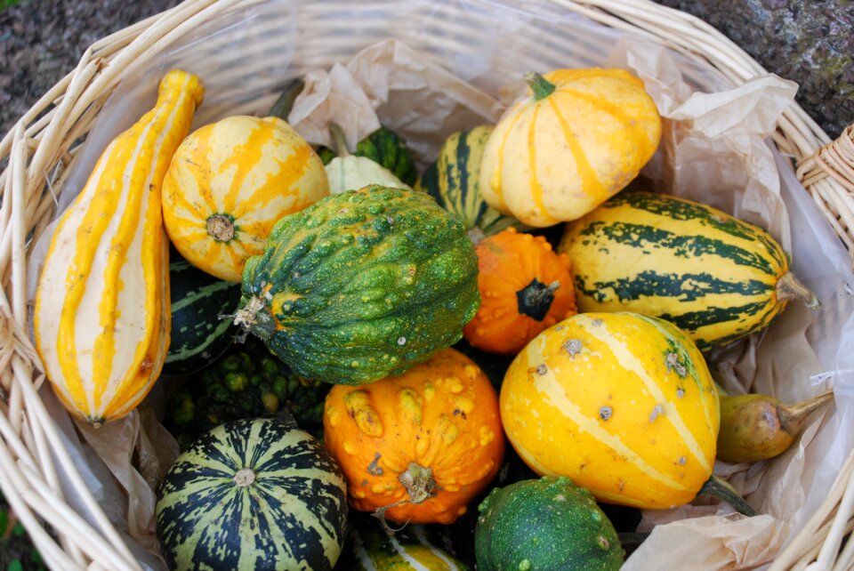 Pumpkins halloween garden ornament